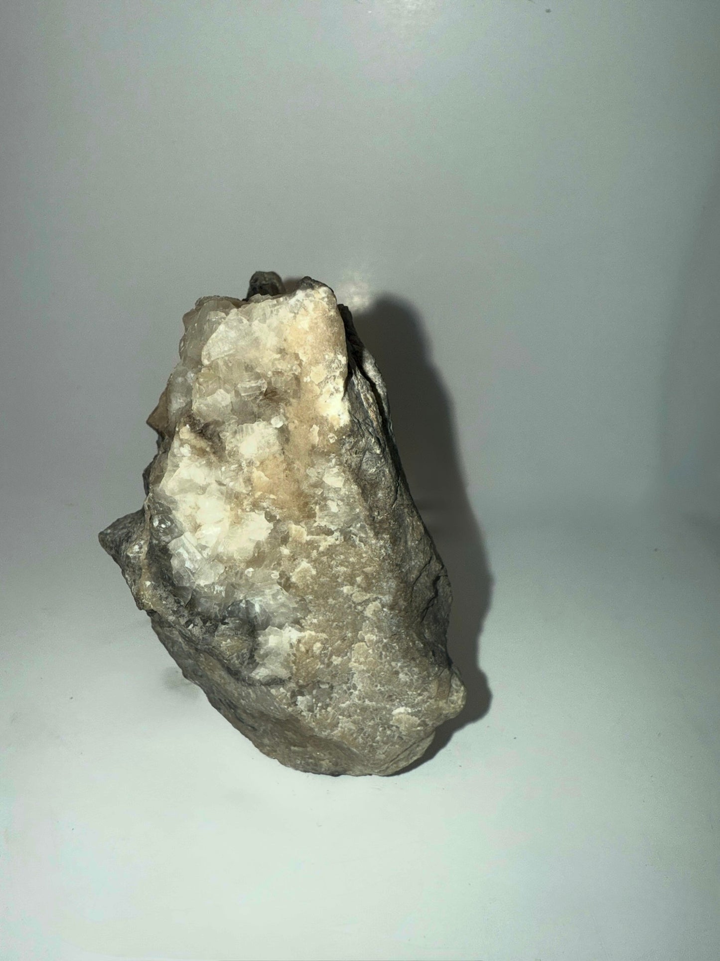 Extremely unique! Petrified wood growing through silicated crystal favosites coral fossil