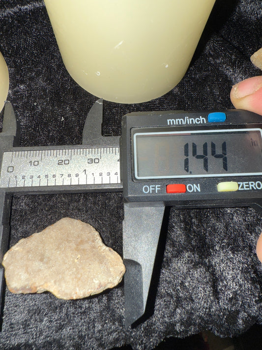 Mini polished favocites crystal coral slabs (Charlevoix stones)