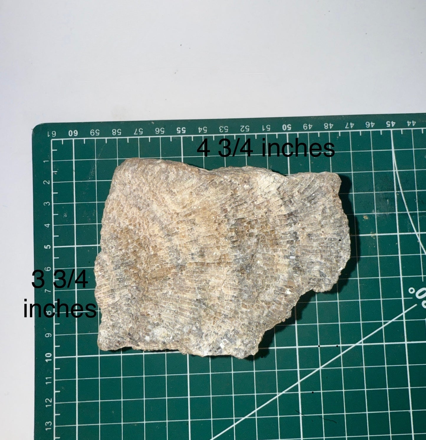 Druzy blue banded calcedony crystal coral fossil