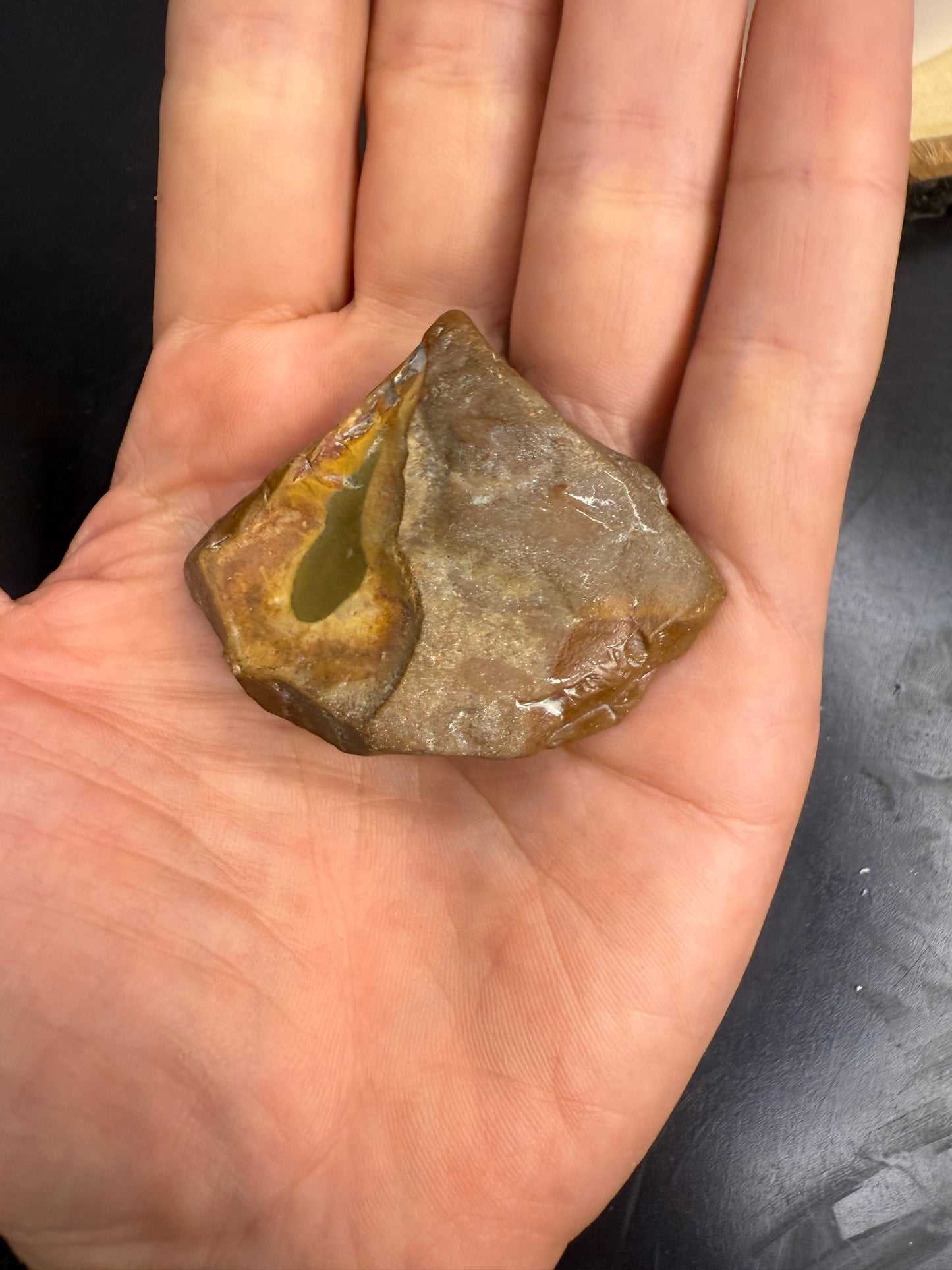 Dendritic petrified wood with blue & green picture jasper center (face polished)
