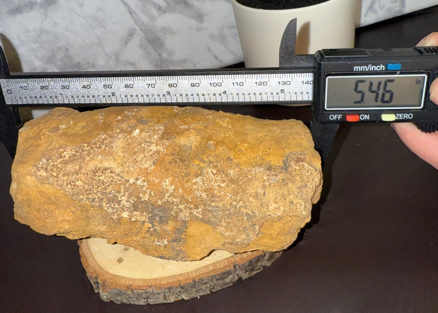 Large petrified wood, natural self standing display