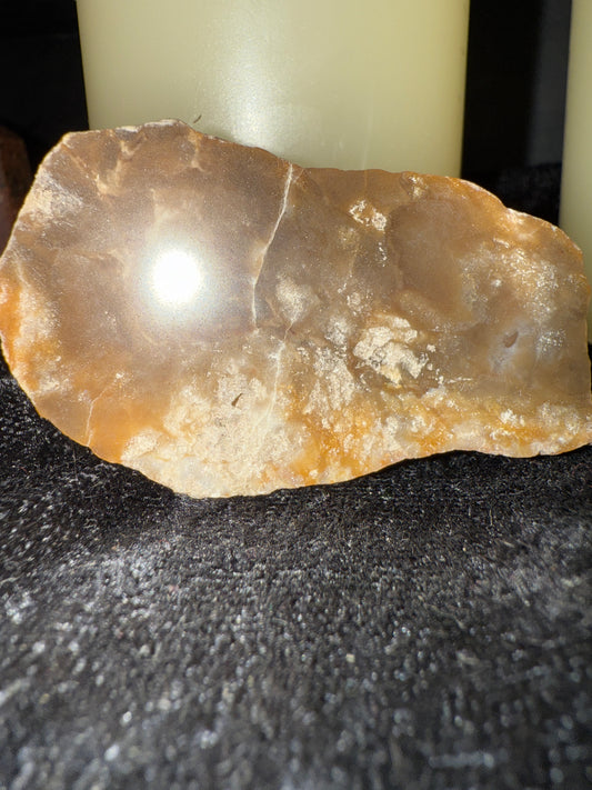 Face polished Stromatolite Lake Superior agate halves