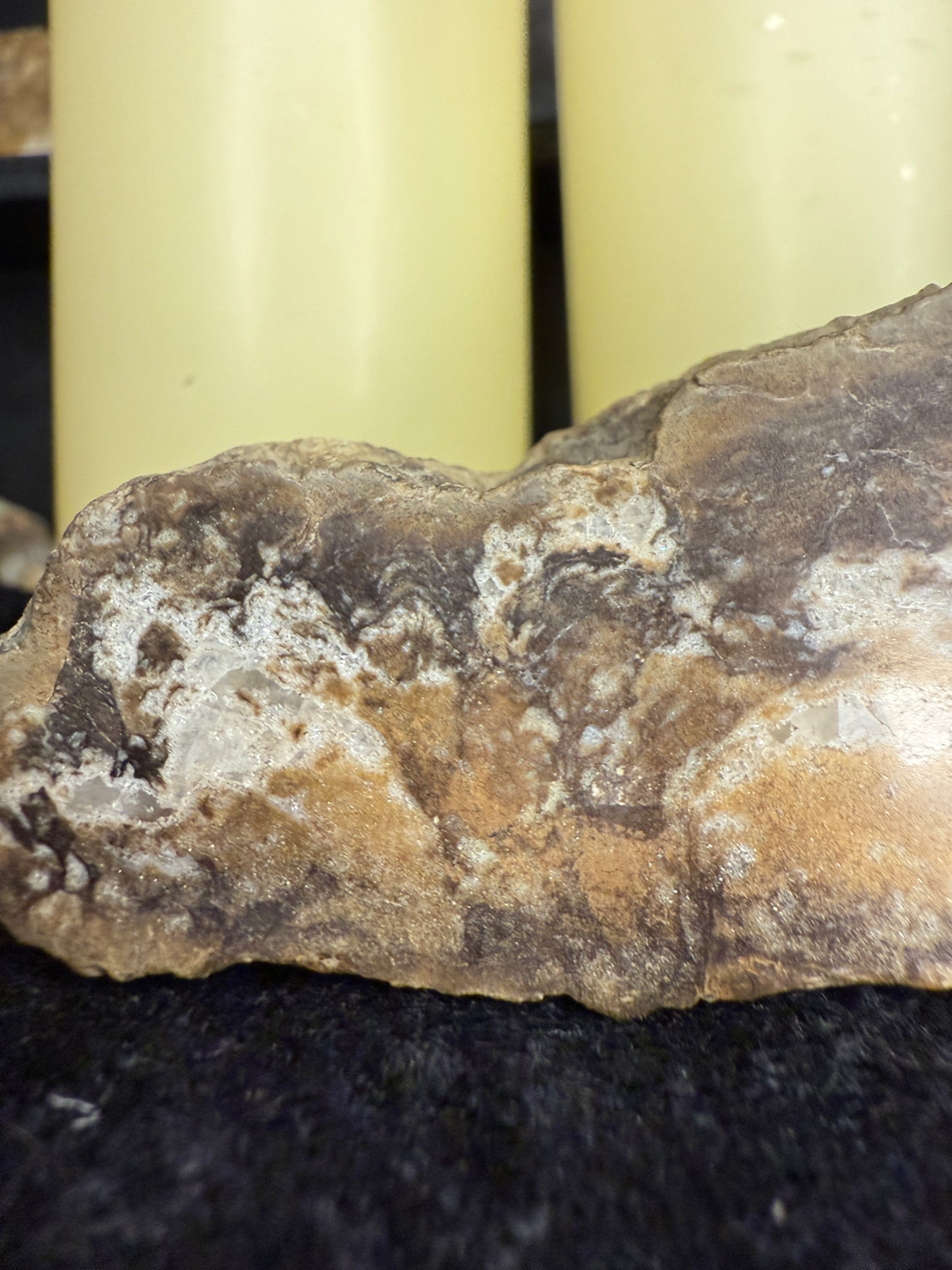 Face polished crystallized petrified wood/limb cast