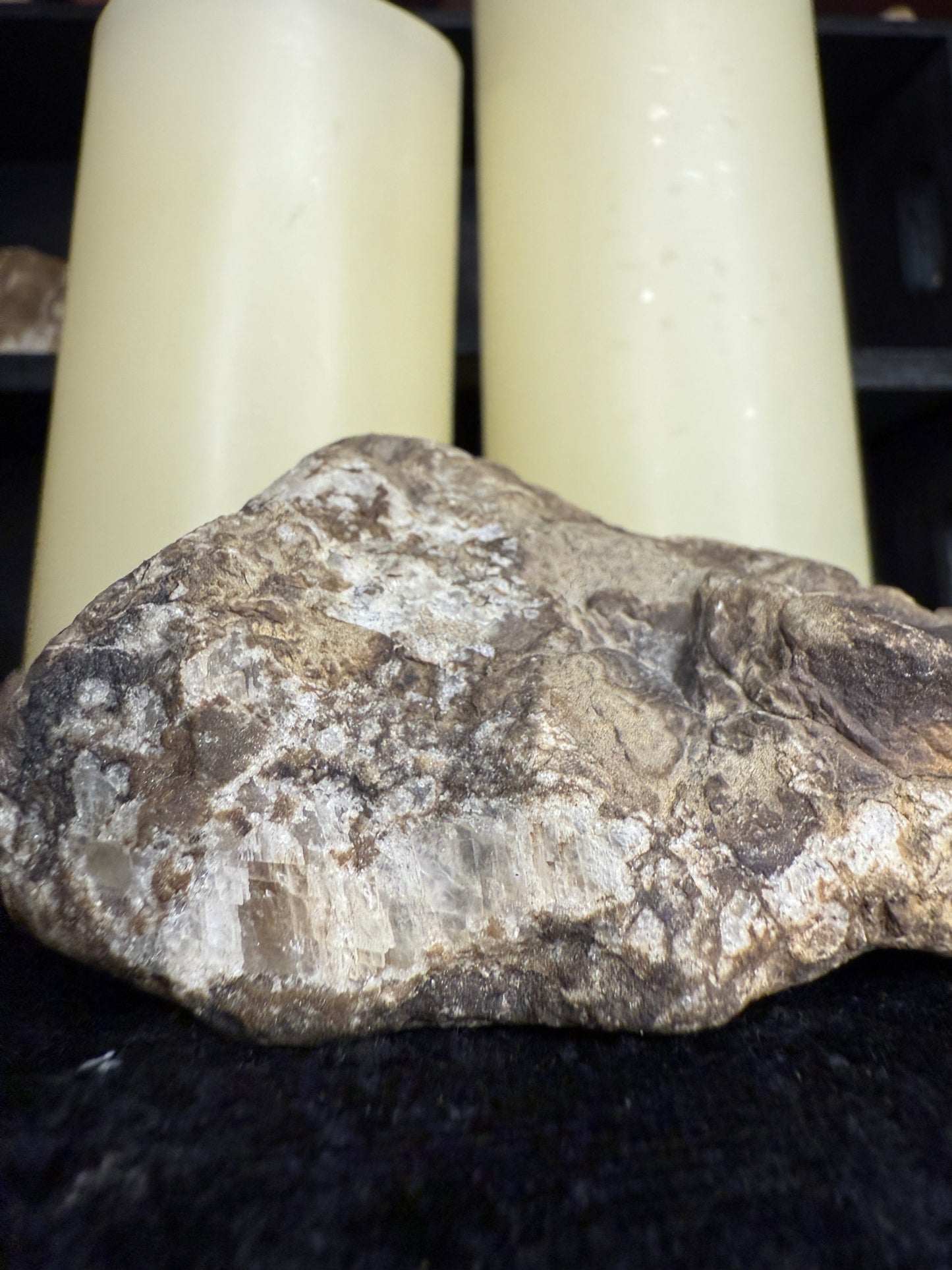 Face polished crystallized petrified wood/limb cast