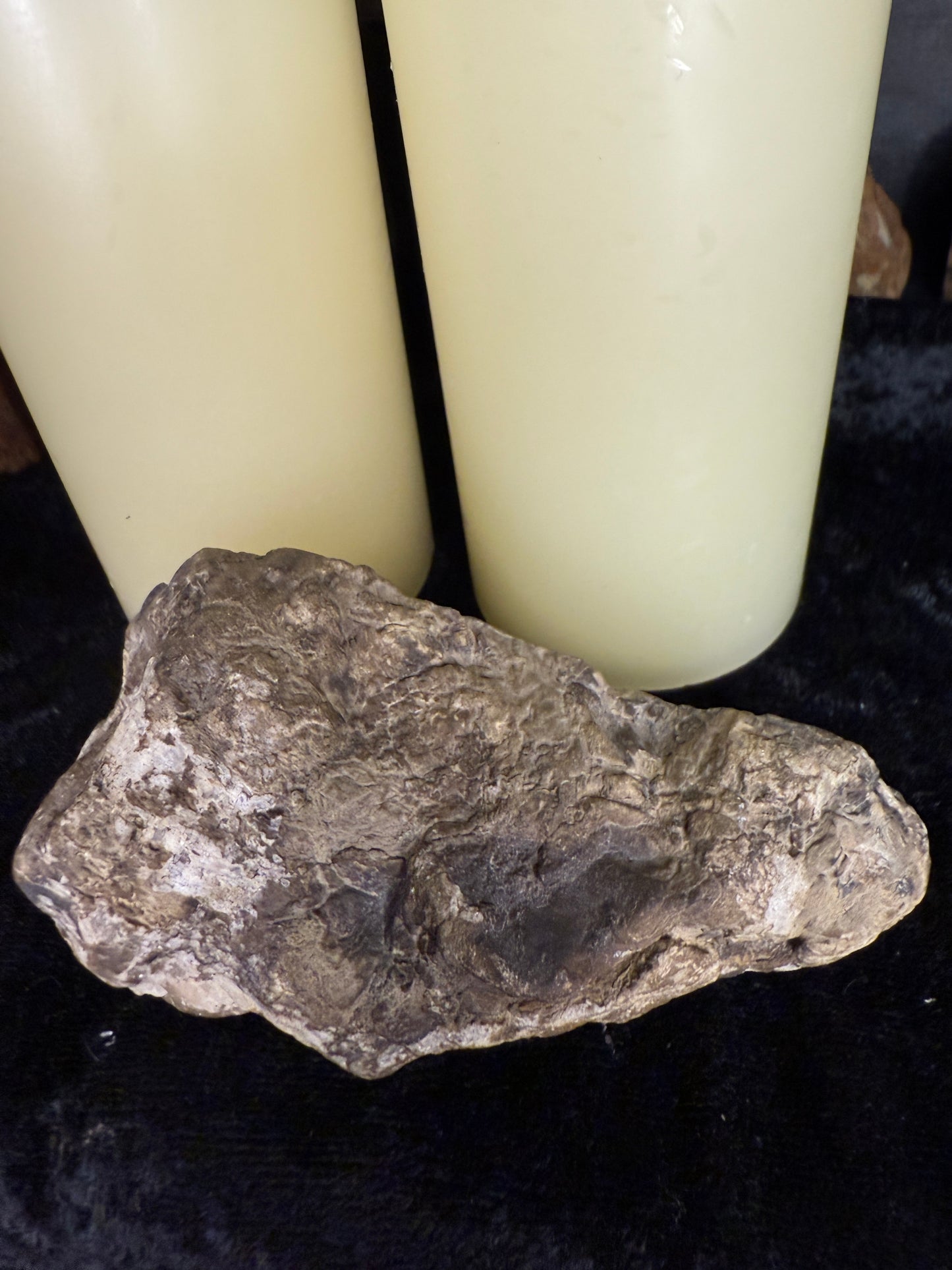 Face polished crystallized petrified wood/limb cast