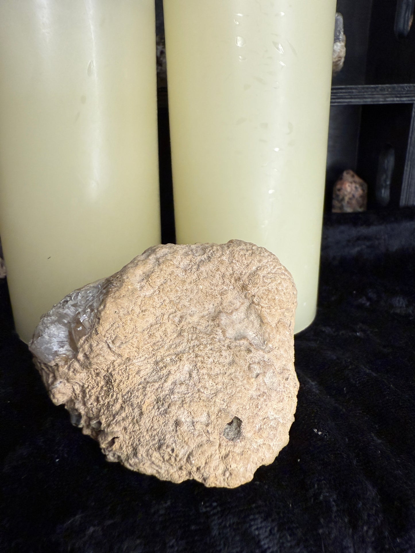 Coral fossil with calcite crystals(Acid etched)