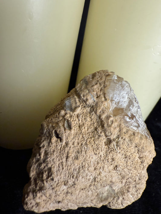 Coral fossil with calcite crystals(Acid etched)