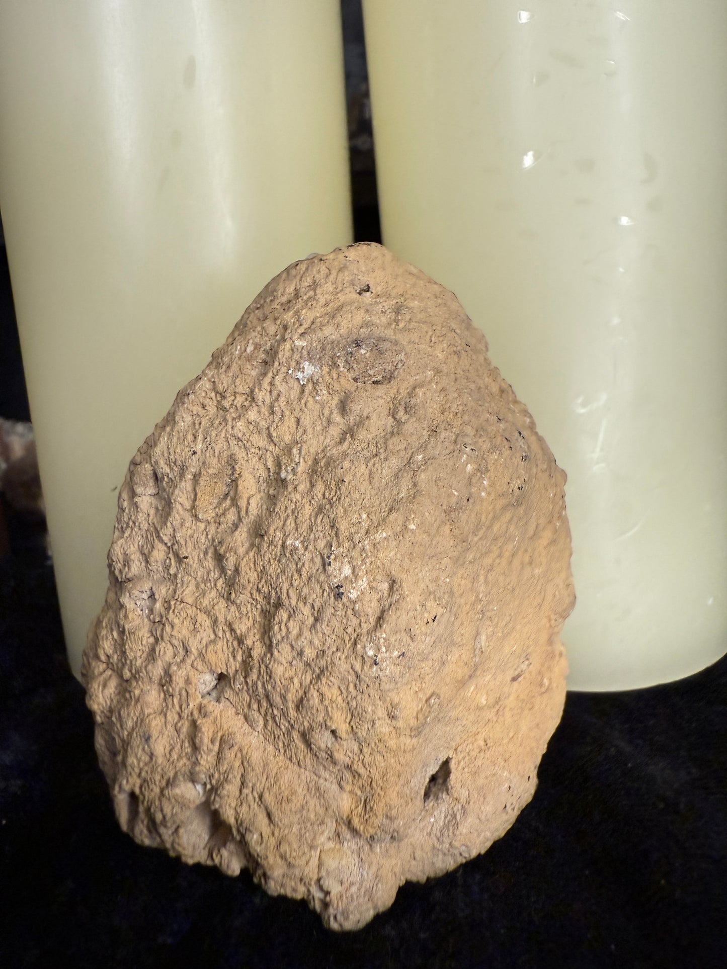 Coral fossil with calcite crystals(Acid etched)