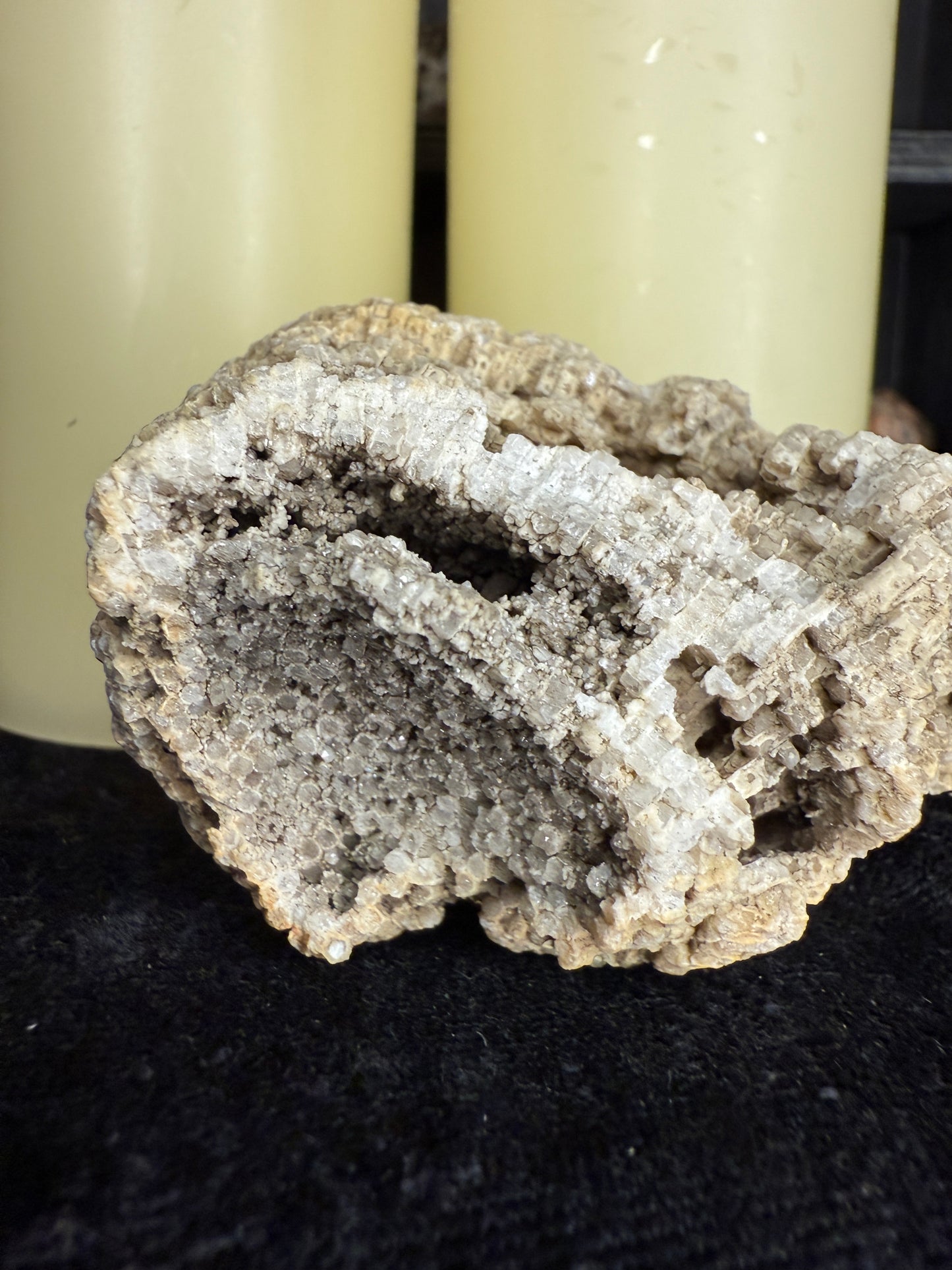 Fully crystallized favocites coral fossil with natural smoky druzy (charlevoix stone)