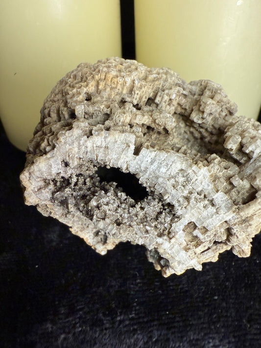 Fully crystallized favocites coral fossil with natural smoky druzy (charlevoix stone)