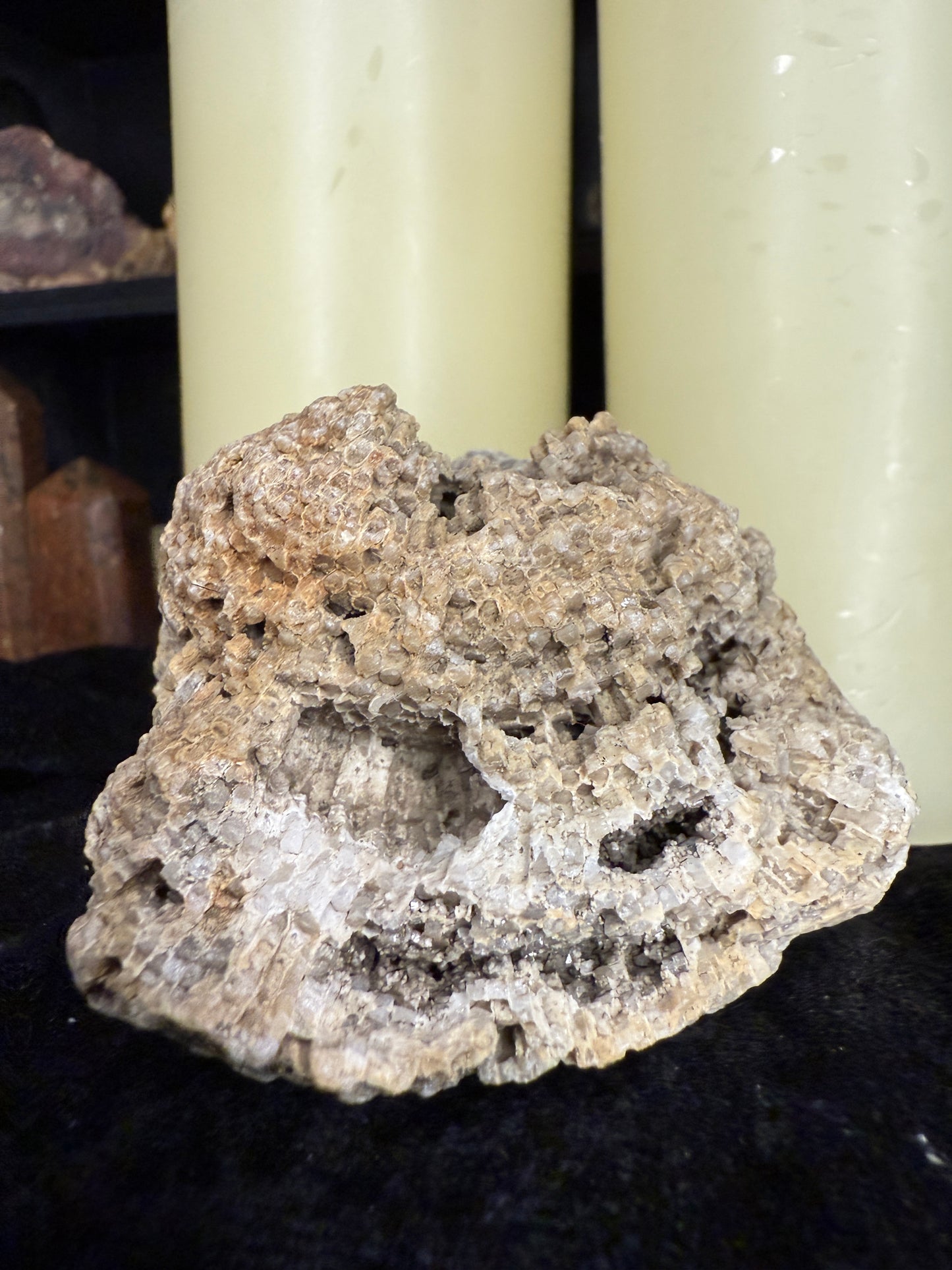 Fully crystallized favocites coral fossil with natural smoky druzy (charlevoix stone)