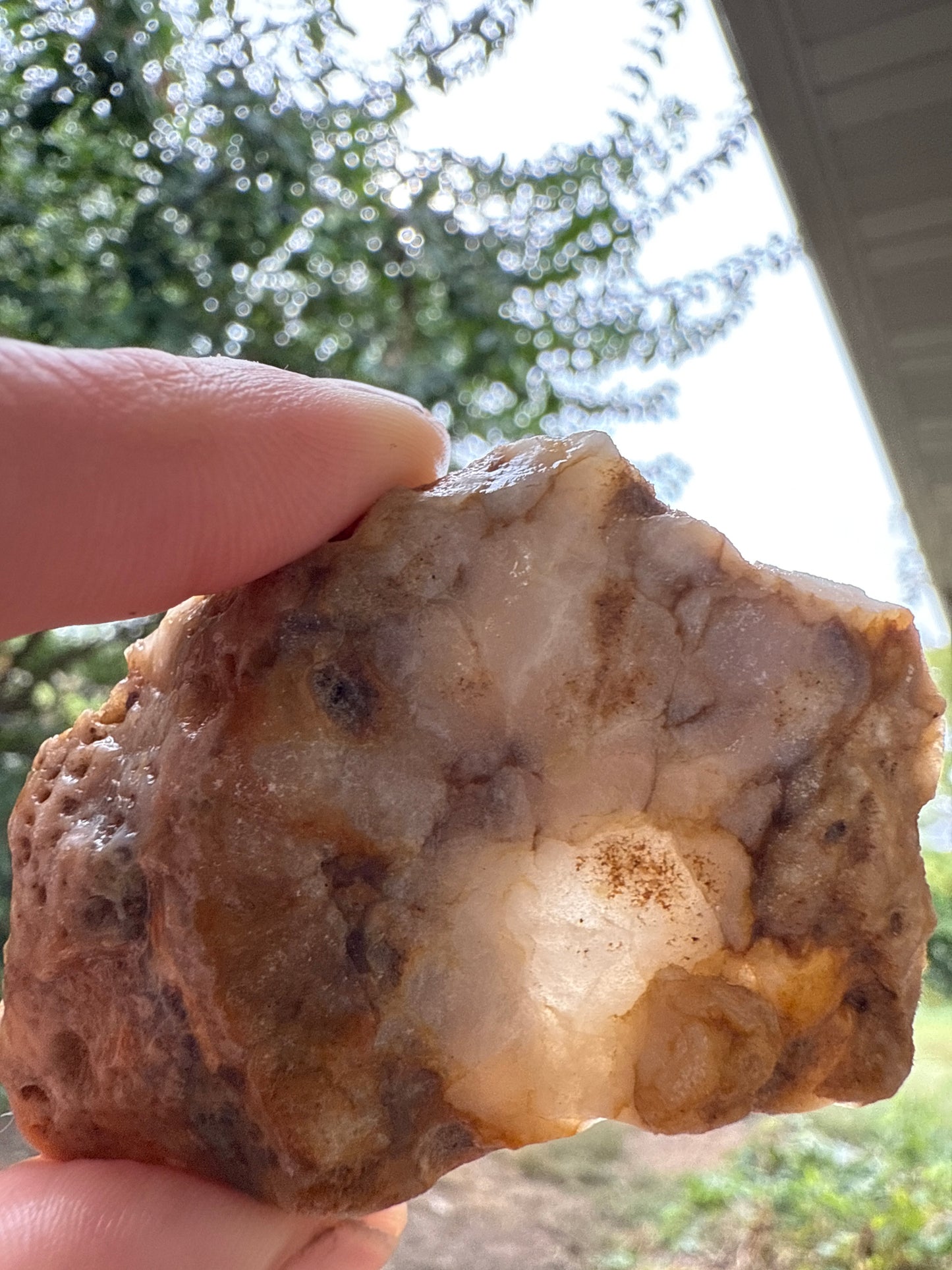 [Damaged] Mossy Plume Lake Superior agate slices