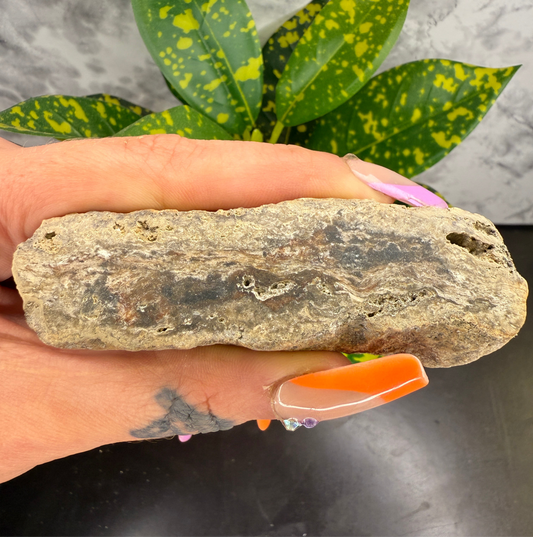 Face polished pastel agate & chert mix