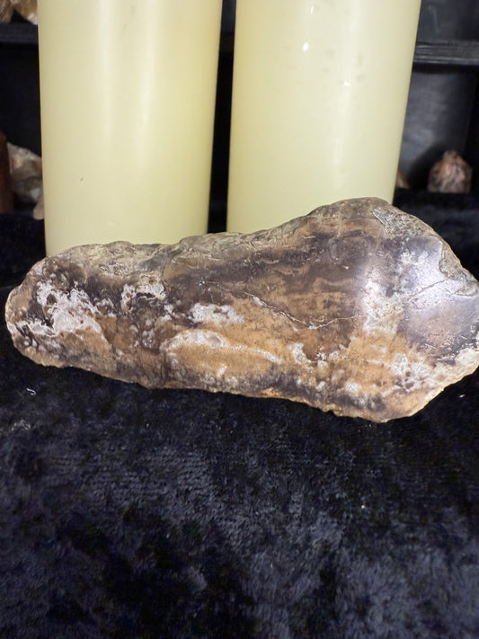 Face polished crystallized petrified wood/limb cast