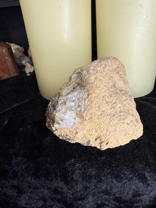 Coral fossil with calcite crystals(Acid etched)