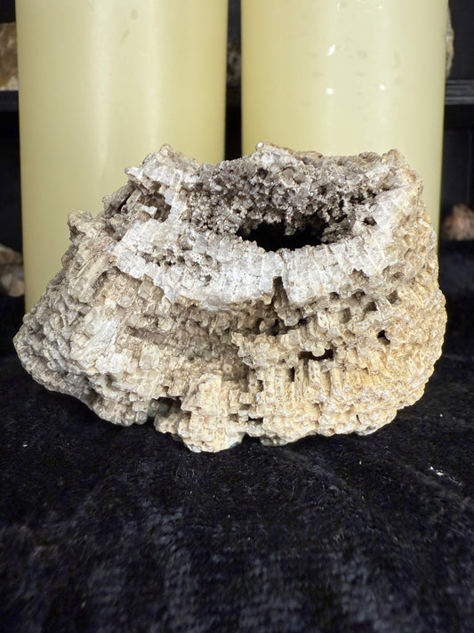 Fully crystallized favocites coral fossil with natural smoky druzy (charlevoix stone)
